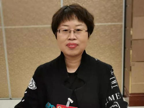 如何保護和傳承河南話 趙黎波建議開發河南方言語音識別軟件