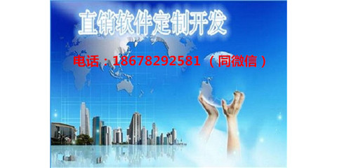 河南直銷軟件開發