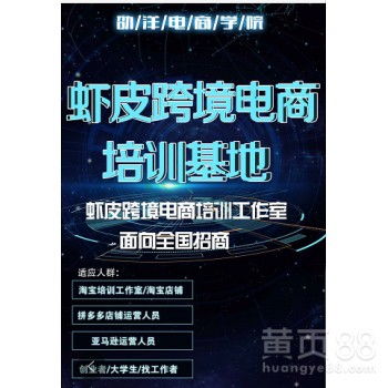 河南劭洋蝦皮無貨源鋪貨軟件源頭開發(fā)公司 全國代理招募與貼牌服務